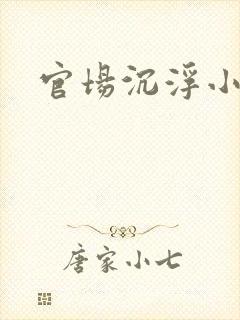 官场沉浮小说