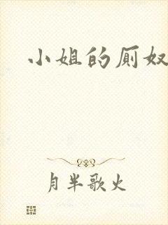 小姐的厕奴