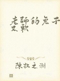 老师的兔子又大又软