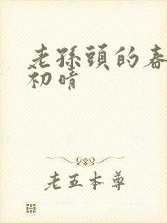 老孙头的春天林初晴