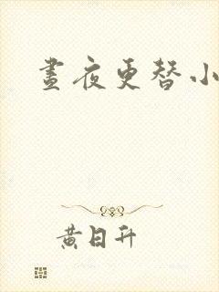 昼夜更替小说