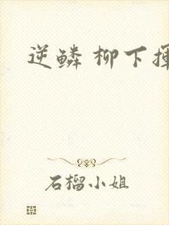 逆鳞 柳下挥封面