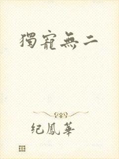 独宠无二封面