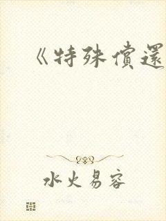 《特殊偿还》封面