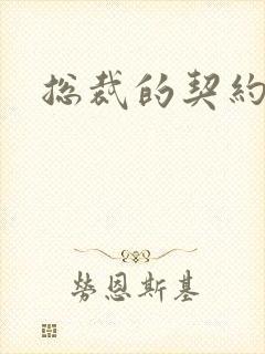 总裁的契约情人
