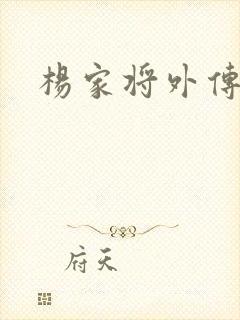 杨家将外传