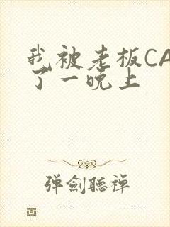 我被老板CAO了一晚上