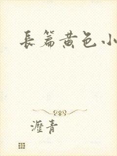 长篇黄色小说