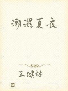 潮湿夏夜封面