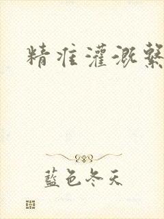精准灌溉系统