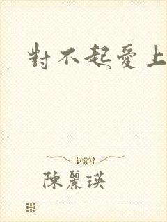 对不起爱上你