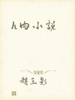 h肉小说