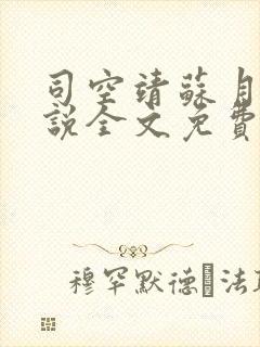 司空靖苏月汐小说全文免费阅读
