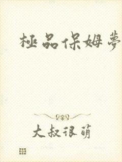 极品保姆梦梦封面