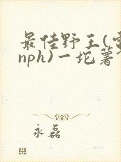 最佳野王(电竞nph)一坨薯饼封面