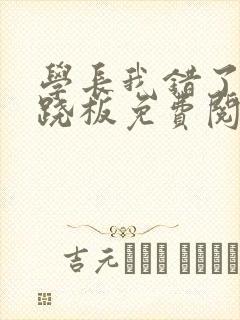 学长我错了 跷跷板免费阅读