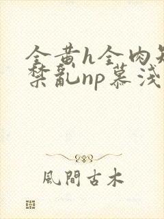 全黄h全肉短篇禁乱np慕浅浅