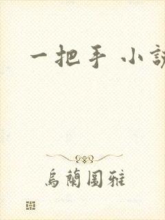 一把手 小说封面
