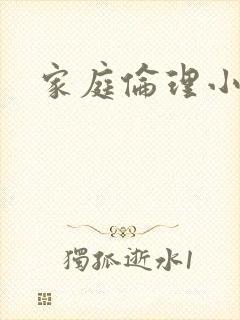 家庭伦理小说封面