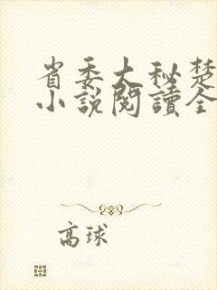 省委大秘楚东恒小说阅读全文封面
