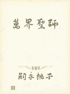 万界圣师封面