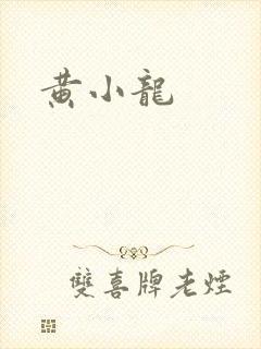 黄小龙封面