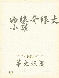 内缘奇缘大团圆小说