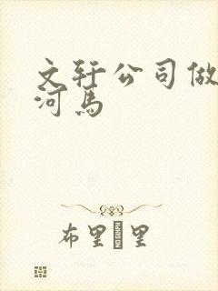 文轩公司做扩张河马
