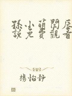 孙小萌闫辰的小说免费观看封面