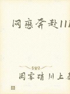 网恋奔赴11h