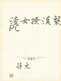 渣女撩汉系统NPC