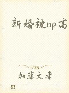 新婚被np高h