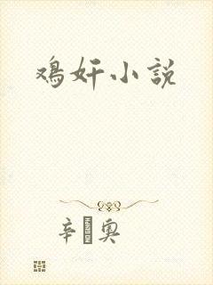 鸡奸小说