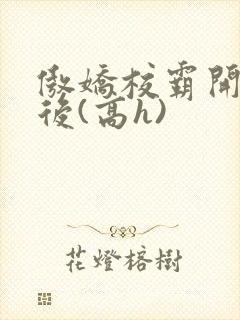 傲娇校霸开荤以后(高h)封面