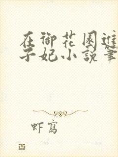 在御花园进入太子妃小说笔趣阁