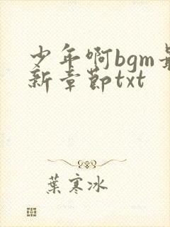 少年啊bgm最新章节txt