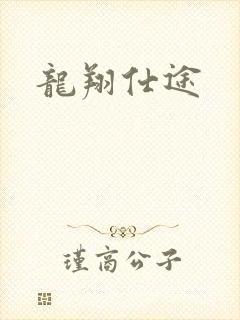 龙翔仕途