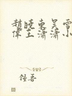 赵晓东吴雪晴郑伟王潇潇小说名字封面