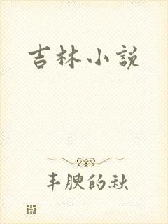 吉林小说封面