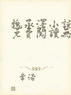 魏承泽小说全文免费阅读无弹窗笔趣封面