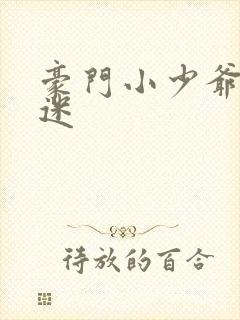 豪门小少爷是财迷