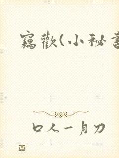 窃欢(小秘书)