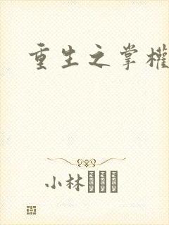 重生之掌权天下封面