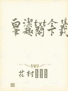 白洁txt全集笔趣阁下载