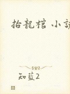 抬龙棺 小说