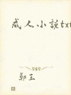 成人小说txt
