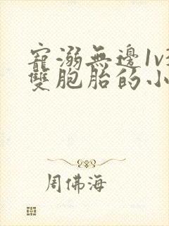 宠溺无边1v3双胞胎的小说