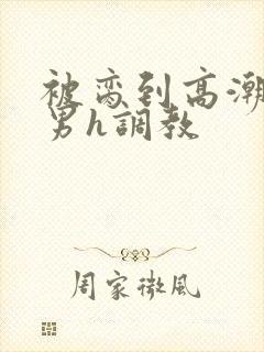 被脔到高潮的直男h调教