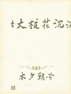 t大校花沉沦