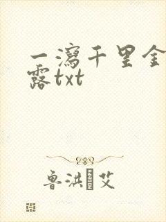 一泻千里金银花露txt封面